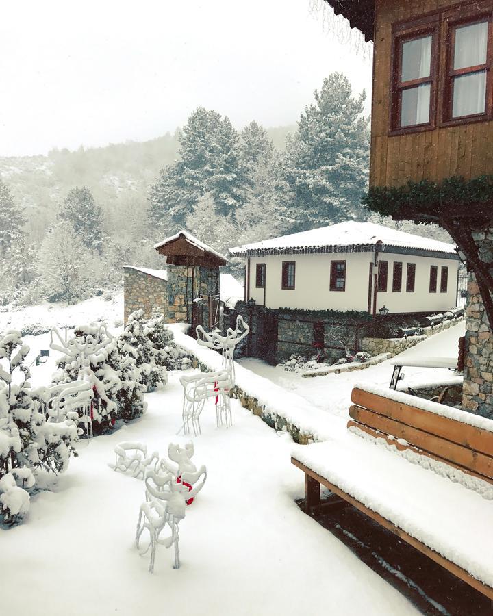 Macedonian Village Hotel & Resort Gorno Nerezi Exterior foto